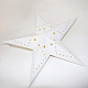 photo-2920310