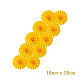 photo-2935505